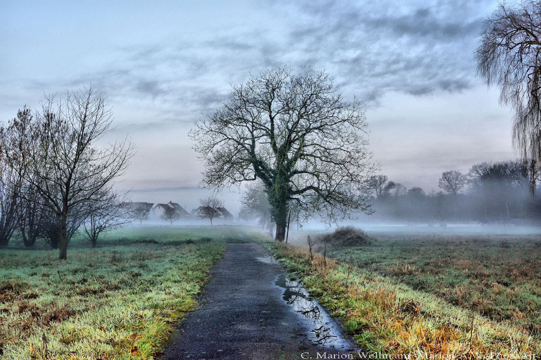 Nebel Zauber